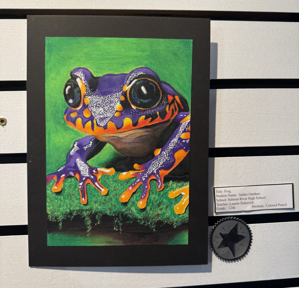 Artwork drawing of a frog
